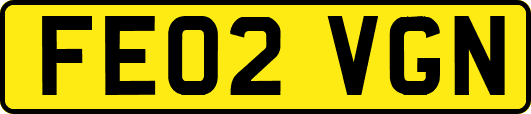 FE02VGN