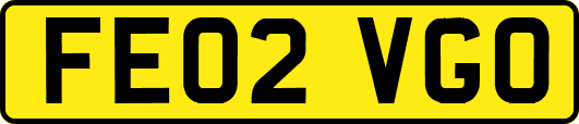 FE02VGO