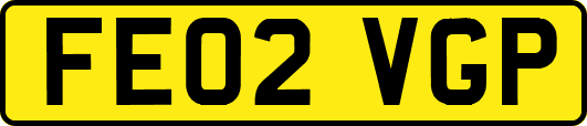 FE02VGP