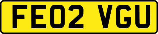 FE02VGU