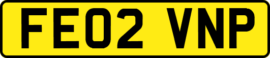 FE02VNP
