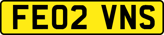 FE02VNS