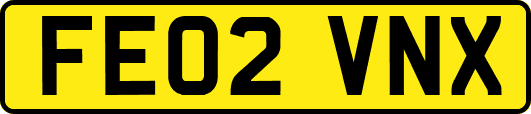 FE02VNX