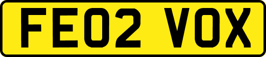 FE02VOX