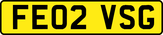FE02VSG