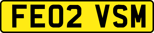 FE02VSM