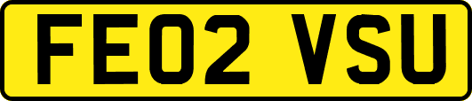 FE02VSU