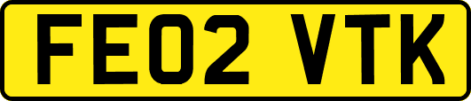 FE02VTK