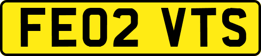 FE02VTS