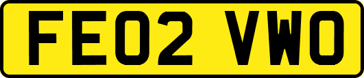 FE02VWO