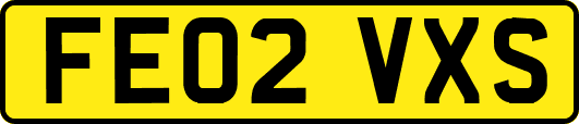 FE02VXS