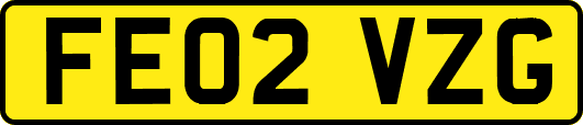 FE02VZG