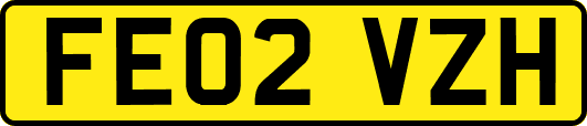 FE02VZH