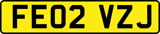 FE02VZJ