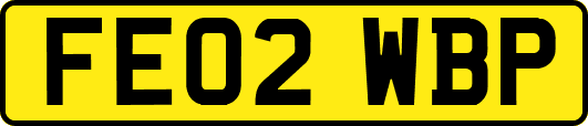 FE02WBP
