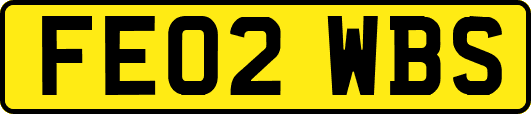 FE02WBS