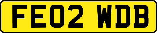 FE02WDB
