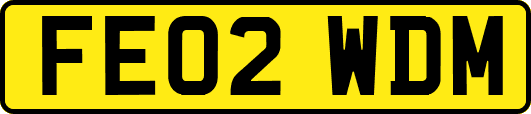 FE02WDM