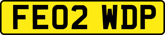 FE02WDP