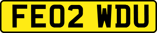 FE02WDU