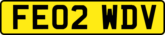 FE02WDV