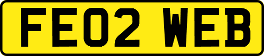 FE02WEB