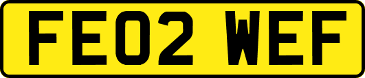 FE02WEF