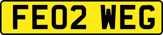 FE02WEG