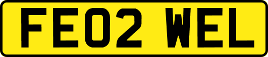 FE02WEL
