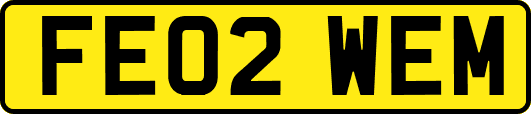 FE02WEM