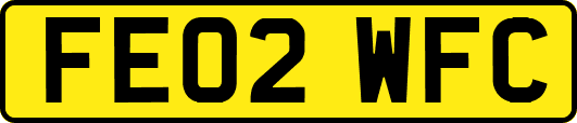 FE02WFC