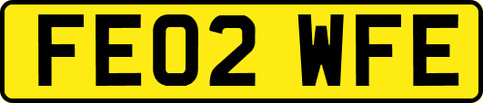 FE02WFE