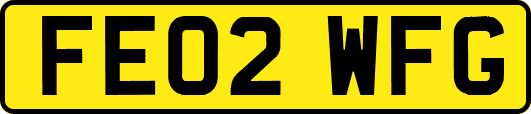 FE02WFG