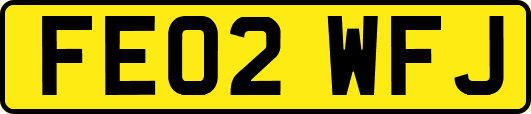 FE02WFJ