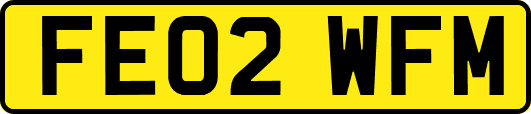 FE02WFM