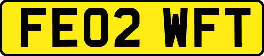 FE02WFT