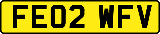 FE02WFV