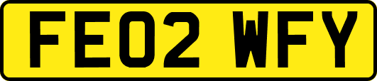 FE02WFY
