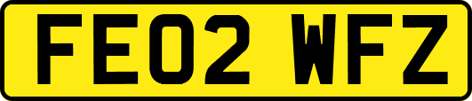 FE02WFZ