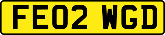 FE02WGD