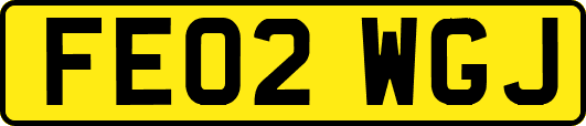 FE02WGJ