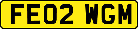 FE02WGM