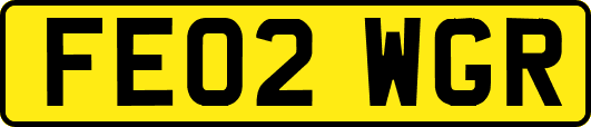 FE02WGR