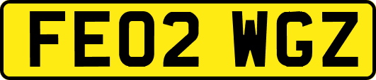 FE02WGZ