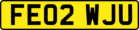 FE02WJU