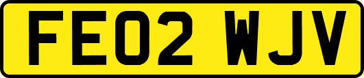 FE02WJV