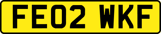 FE02WKF
