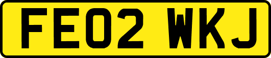 FE02WKJ