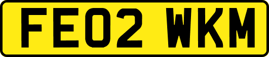 FE02WKM