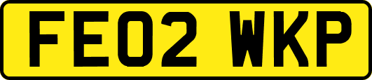 FE02WKP